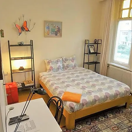 Otel Boutiquehotel Sycamore - Protected View - 950m From Station 2*