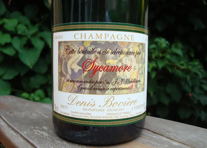 Ξενοδοχείο Boutiquehotel Sycamore - Protected View - 950m From Station Αϊντχόφεν